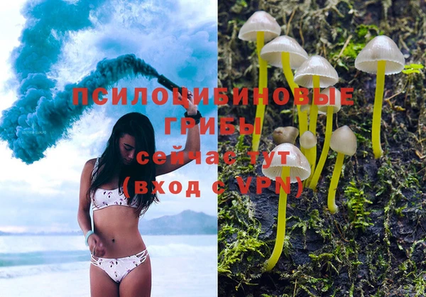 дурь Беломорск
